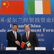Xi Jinping - Vice President of PRC & Enda Kenny - Taoiseach (Irish PM)